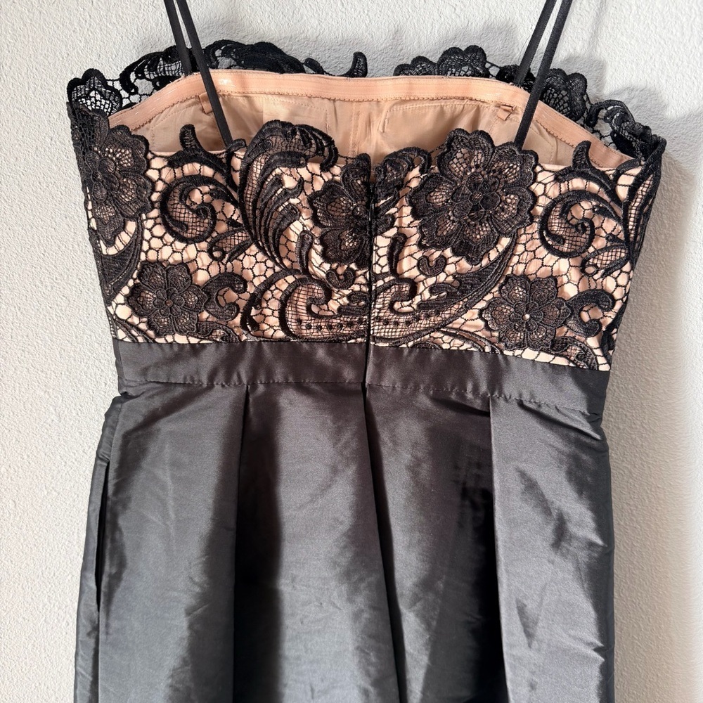 Adrianna Papell Black Strapless Lace Dress - Picture 5 of 15